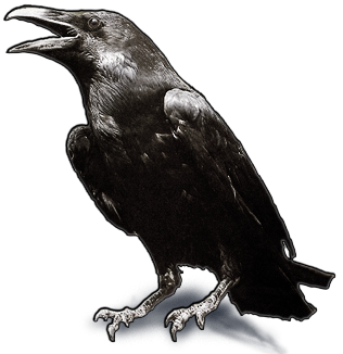 Raven_2